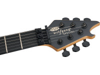 EVH EVH